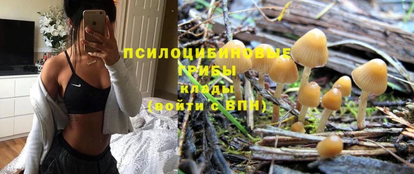 крисы Бронницы