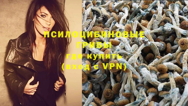 крисы Бронницы