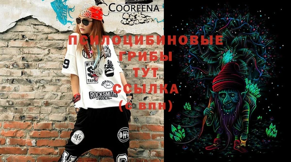 крисы Бронницы