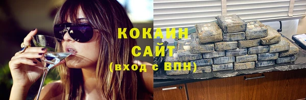 крисы Бронницы