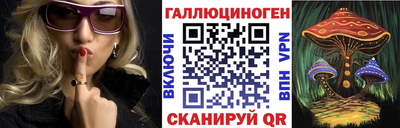 где купить наркотик  Дигора  Псилоцибиновые грибы Psilocybe 